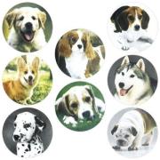 Naklejki papierowe na taśmie Psy 500szt. Wydawca: Titanum. Dadada.pl Opakowanie Naklejki papierowe na taśmie Psy 500szt