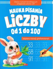 Okładka książki Nauka pisania. Liczby od 1 do 100