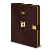 Opakowanie Notatnik A5 Premium Harry Potter Quidditch