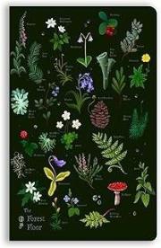 Opakowanie Notatnik B6 linia BR Leśna ściółka Anna Stead