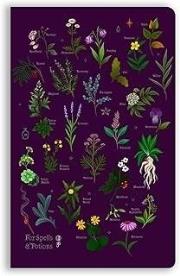 Opakowanie Notatnik B6 linia BR Zaklęcia i mikstury