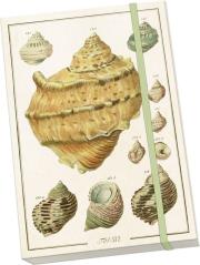 Opakowanie Notatnik ozdobny A5 STNOTE 135 Muszle