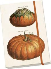 Notatnik ozdobny A5 STNOTE 143 Dynie. Wydawca: Skona Ting. Dadada.pl Opakowanie Notatnik ozdobny A5 STNOTE 143 Dynie