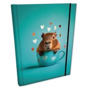 Opakowanie Notes B6 kratka z gumką Soft Touch Kapibara