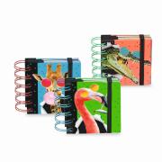 Notes z karteczkami samoprzylepnymi 1szt.mix. Wydawca: TRENDHAUS. Dadada.pl Opakowanie Notes z karteczkami samoprzylepnymi 1szt.mix