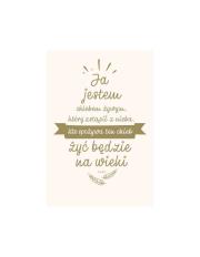 NT z infografikami A5 srebr. tł. Ja jestem chlebem. Autor:   Praca zbiorowa. Dadada.pl Okładka książki NT z infografikami A5 srebr. tł. Ja jestem chlebem