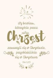 NT z infografikami B5 srebrne tł. Chrzest. Autor:   Praca zbiorowa. Dadada.pl Okładka książki NT z infografikami B5 srebrne tł. Chrzest