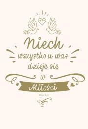 NT z infografikami B5 złota tł. Ślub. Autor:   Praca zbiorowa. Dadada.pl Okładka książki NT z infografikami B5 złota tł. Ślub