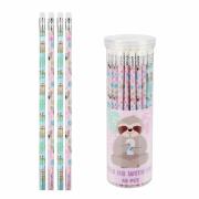 Opakowanie Ołówek z gumką HB Koala (48szt)