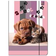 Opakowanie Paczka Teczka A4 z gumką Pies i Kot 5 sztuk