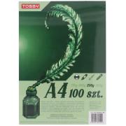 Opakowanie Papier Brystol 250g A4 100 ark.