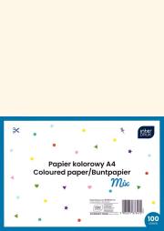 Opakowanie Papier kolorowy A4 100 kartek