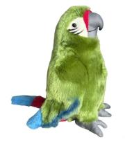 Opakowanie Papuga oliwkowa 28cm