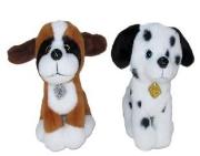 Opakowanie Pies 20cm MIX