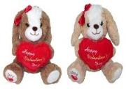 Opakowanie Pies z sercem 30cm MIX