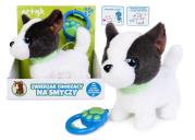 Opakowanie Piesek chodzący na smyczy biało-czarny