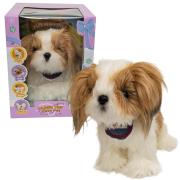 Opakowanie Piesek Shih Tzu