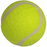 Opakowanie Piłka tenis ziemny 3szt