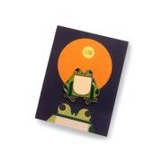 Opakowanie Pin żaba śmieszka