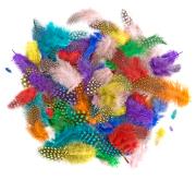 Opakowanie Piórka bażanta 4-7cm 10g brights