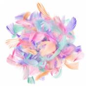 Opakowanie Piórka macaron 4-8cm 10g