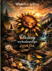 Okładka książki Plastry wyłuskanego czasu