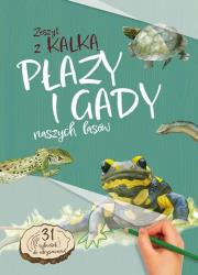 Płazy i gady naszych lasów. Zeszyt z kalką. Autor: Katarzyna Kopiec-Sekieta. Dadada.pl Okładka książki Płazy i gady naszych lasów. Zeszyt z kalką