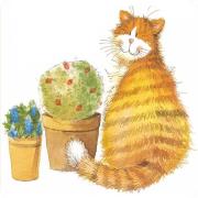 Opakowanie Podkładka pod kubek C173 Kot Whiskers