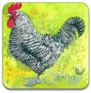 Opakowanie Podkładka pod kubek C82 Kura Marans