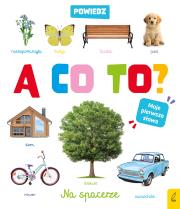 Okładka książki Powiedz a co to ? Na spacerze