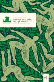 Okładka książki Prawie wieczór, wciąż jasno