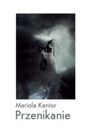 Okładka książki Przenikanie