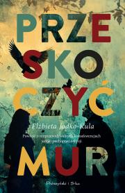 Okładka książki Przeskoczyć mur. Duże Litery