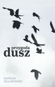 Okładka książki Przygoda dusz