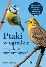Ptaki w ogrodzie — jak je rozpoznawać wyd. 2025. Autor: Daniela Strauss. Dadada.pl Okładka książki Ptaki w ogrodzie — jak je rozpoznawać wyd. 2025