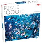 Opakowanie Puzzle 1000 Bannerfish
