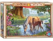 Opakowanie Puzzle 1000 Dzikie konie