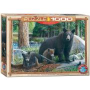 Opakowanie Puzzle 1000 Globetrotter, Kanada