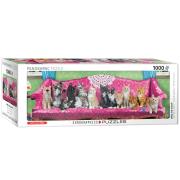 Opakowanie Puzzle 1000 Kitty Cat Couch 6010-5629