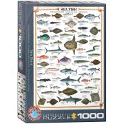 Opakowanie Puzzle 1000 Morskie ryby