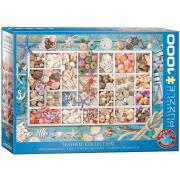 Opakowanie Puzzle 1000 Muszelki