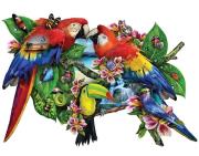 Opakowanie Puzzle 1000 Papugi, Lori Schory