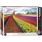 Opakowanie Puzzle 1000 Pole tulipanów w Holandii