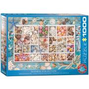 Opakowanie Puzzle 1000 Seashell Collection 6000-5529