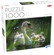 Opakowanie Puzzle 1000 Swan on Lake with Babies