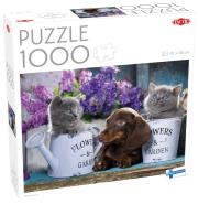 Opakowanie Puzzle 1000 Watering Can