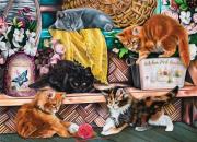 Opakowanie Puzzle 1000 Zabawne kocięta