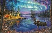 Opakowanie Puzzle 1000 Zorza polarna, Abraham Hunter