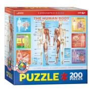 Opakowanie Puzzle 200 Smart kids - Ciało człowieka (XXL)