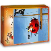 Puzzle 2000 Pirat, Ruyer Francois. Wydawca: Grafika. Dadada.pl Opakowanie Puzzle 2000 Pirat, Ruyer Francois